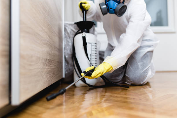 Best Pest Removal Services  in Waverly, NE