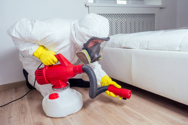 Best Best Pest Control Companies  in Waverly, NE
