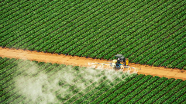Best Termite Control Services  in Waverly, NE