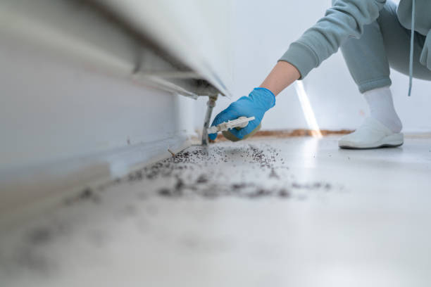 Best Affordable Pest Control Services  in Waverly, NE