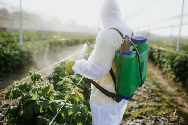 Reliable Waverly, NE Pest Control Solutions